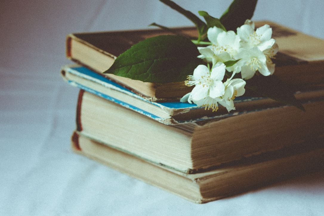 A stack of books with some small white flowers on top.
