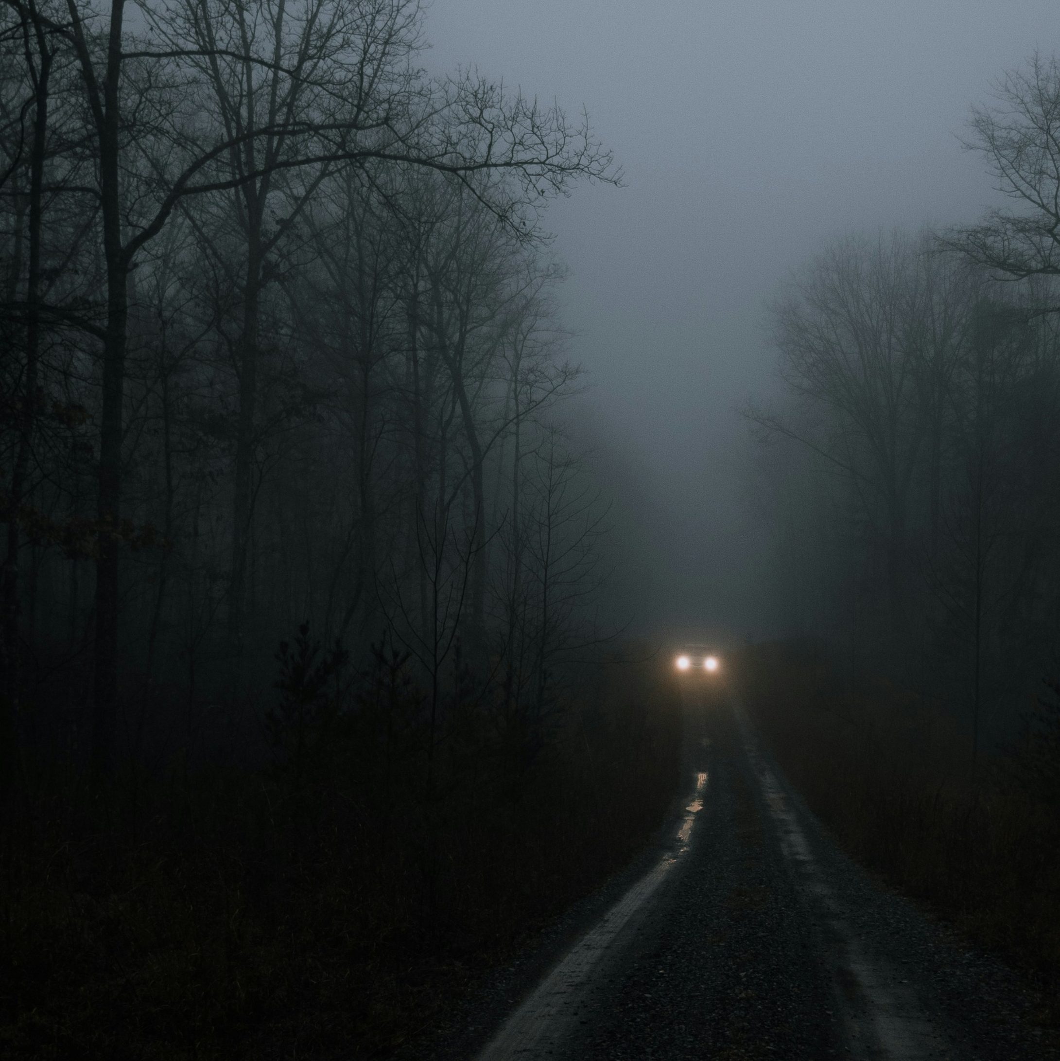 On a dark, foggy night, a car with bright headlights sits on a lonely road in the woods.